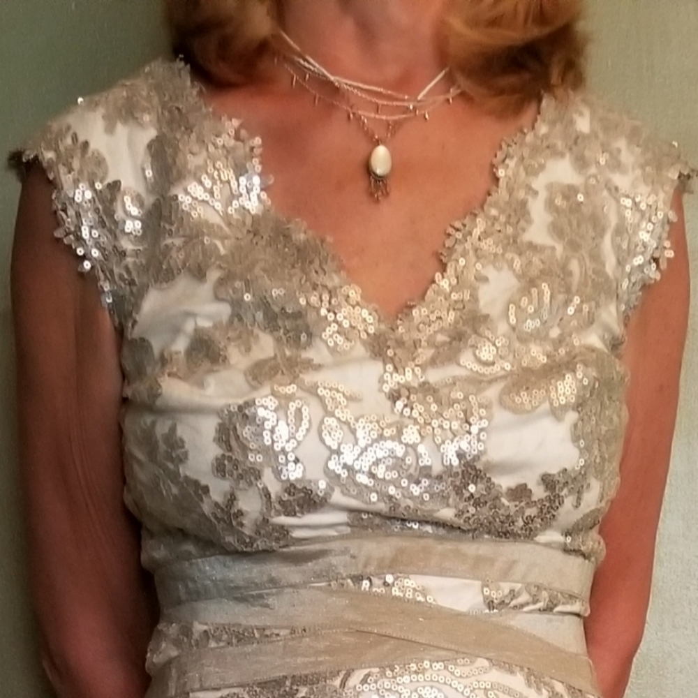 Gorgeous Silver sequin Tadashi